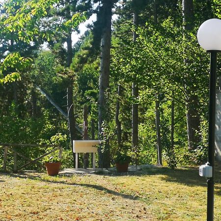 أسكولي بيتشينو Poggio Eco B&B المظهر الخارجي الصورة