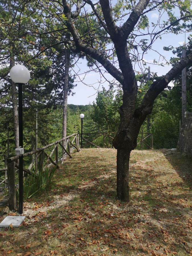 أسكولي بيتشينو Poggio Eco B&B المظهر الخارجي الصورة