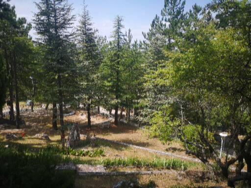 أسكولي بيتشينو Poggio Eco B&B المظهر الخارجي الصورة