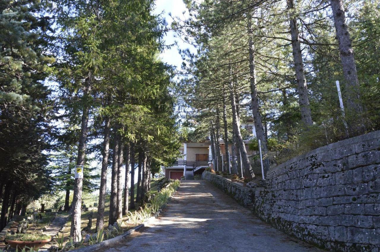 أسكولي بيتشينو Poggio Eco B&B المظهر الخارجي الصورة