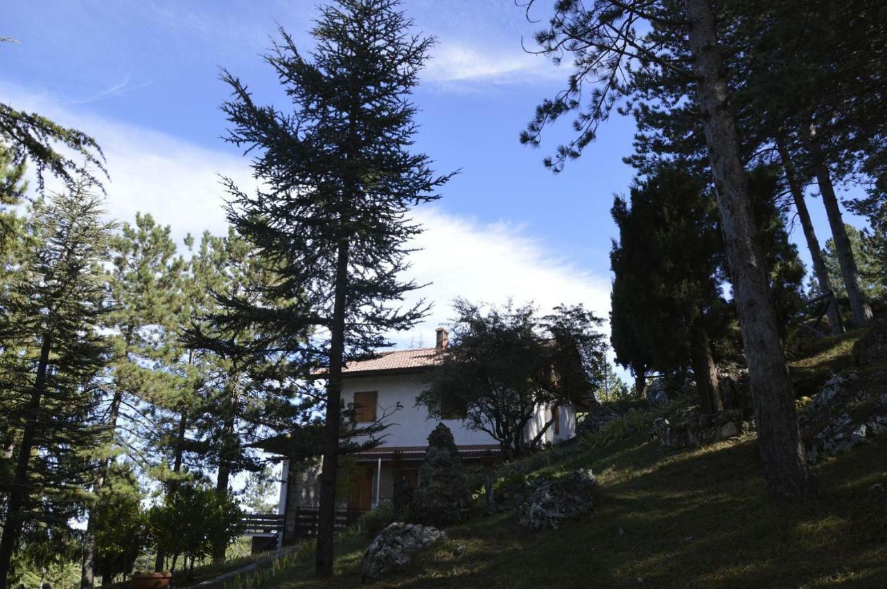 أسكولي بيتشينو Poggio Eco B&B المظهر الخارجي الصورة